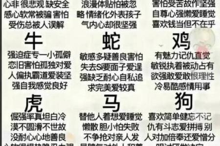 命最好的三大生肖排名 命最好的四大生肖女