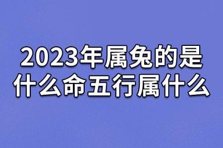 2023是属什么年(2023是属什么年)
