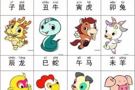 请问在中国传统文化中，大肖具体指的是哪几个生肖动物呢？