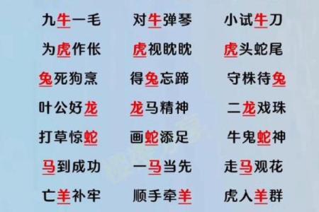 一表非凡指的是哪个生肖？着个成语背后的动物象征解析