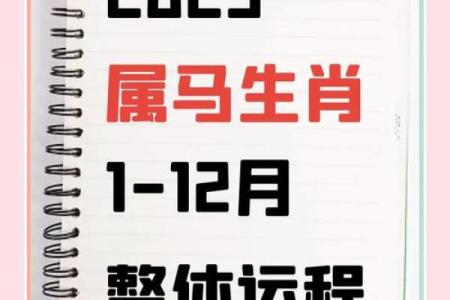 2013年属蛇2025年全年运势完整版 2013年属蛇人2025年每月运势详解