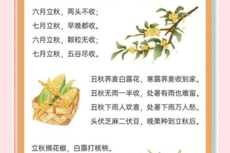 从节气规律看，8月7日或8月8日立秋，哪种情况更常见？
