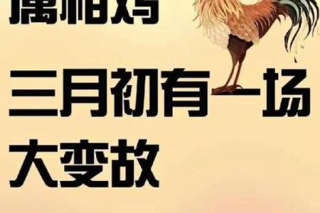 属鸡的兴家月是几月 属相鸡几月
