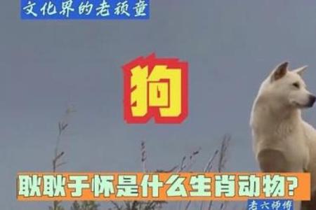 祸不单行是什么生肖