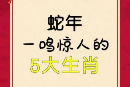 重整旗鼓是什么生肖(重整旗鼓个成语的意思)