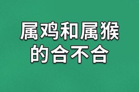 属鸡男为什么不能嫁 属猴男和属猪女的婚姻怎么样