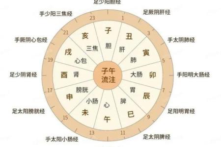 上午是哪个时间段 上午哪个时间段最好