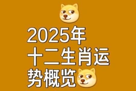 1972年属鼠女性53岁2025年运势详解及每月得把眼睛擦亮了