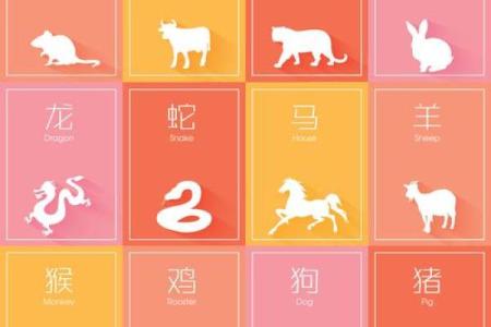 瓮声瓮气是什么生肖(瓮声瓮气是什么生肖呢)