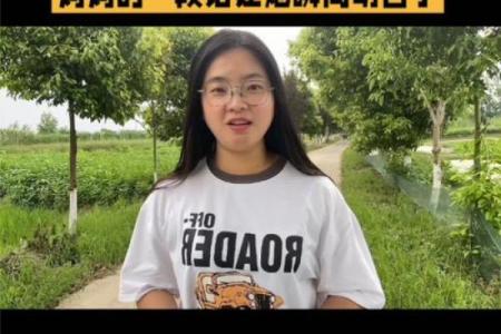 唱一首回娘家 唱一首母亲