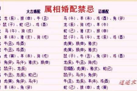 83和87年属相婚配 83和87年合适在一起吗