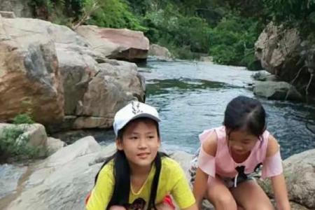 落花流水指什么生肖 落花流水是无意打一正确生肖