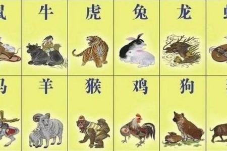十二生肖最不好的生肖是哪一个 十二生肖最不好的生肖是哪一个生肖