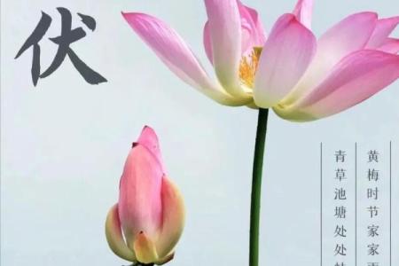 2021年头伏是哪一天(2021年头伏是那一天)