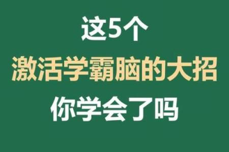脑子笨学什么技术好 脑子笨的人学什么技术