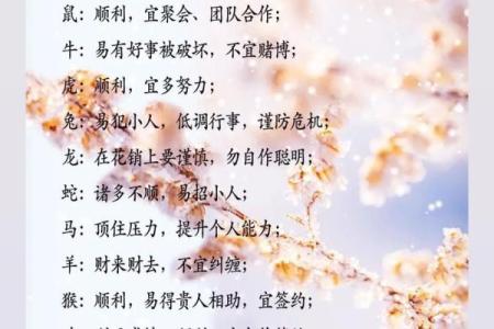 无中生有是什么生肖(无中生有是什么生肖的数字)
