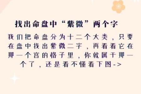 2023年是农历癸卯兔年吗(2023年是农历癸卯兔年吗对吗)