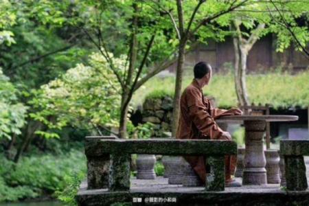 苦海无涯打一个正确生肖(苦海无涯的下一句是啥)