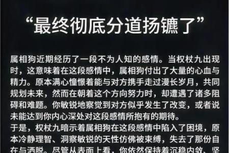 ‌窝儿里横打一生肖 → 狗‌（犬吠家门，内强外怯）