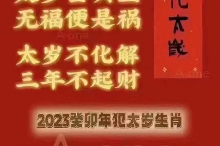 属鼠2025年运势如何，犯太岁的话应该如何化解与转运