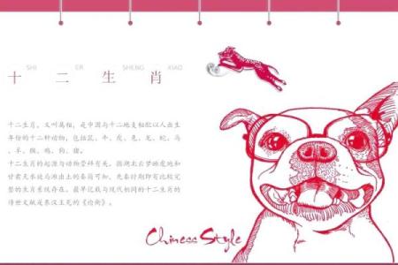 中国指什么生肖 请说出中国的十二生肖