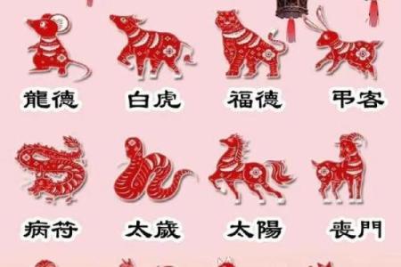 属虎的和属牛的属相合不合 属虎的和属牛的合不合得来