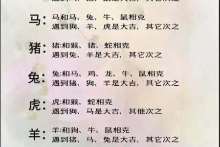 84年属什么生肖配对最好 84年属什么生肖的配