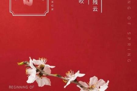 立春时间2023年几点几分(2023年立春)