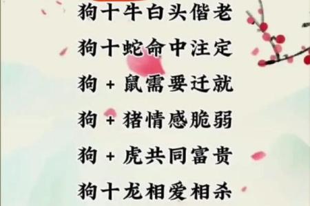 男马和女蛇属相合不合婚姻 男马和女蛇的婚配好不好