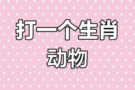无光的生肖是什么动物 无光的生肖打一生肖