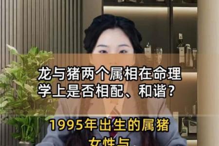 女龙和男猪属相合不合 女龙和男猪属相合不合婚
