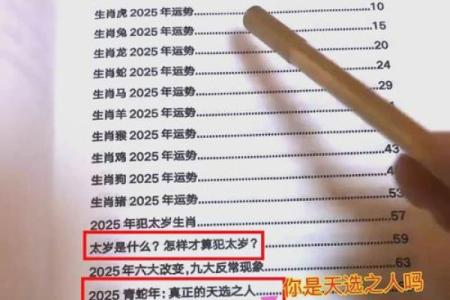 1996年丙子鼠2025年蛇年运程如何？有何得把眼睛擦亮了与开运方法