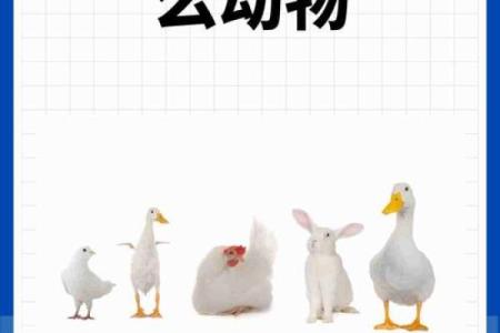 春华秋实着个成语在十二生肖中具体指的是哪个动物？