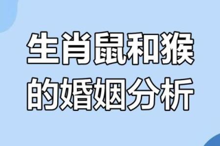 1992属猴的属相婚配表 1992属猴的属相婚配表图