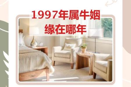 1997年属牛最佳婚配属相 1997属牛最佳婚配属相是什么呢