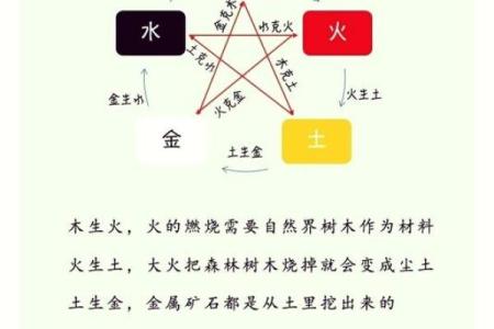 2008年属鼠的五行属性是火命还是土命，如何查询？