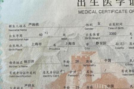 取名叫篪是什么意思