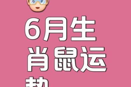 生肖鼠2025年每月运程预测，如何化解太岁冲煞提升好运