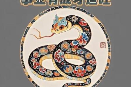 ‌黄鼠狼给鸡拜年打一生肖：‌ 蛇