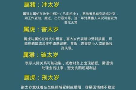 2023年属龙人犯太岁怎么破解 2023年属龙犯太岁的后果