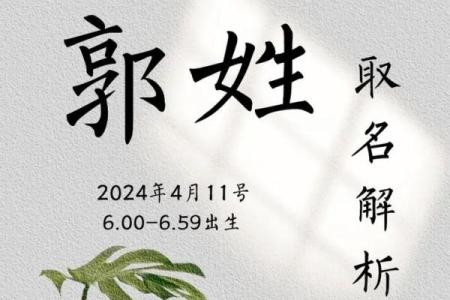 郭姓男孩起名高端大气两个字,郭姓女孩取名