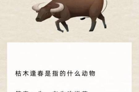 指东骂西猜生肖是什么意思？具体指的是哪一个生肖动物呢？
