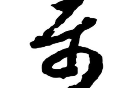 属相的属怎么写 属相字怎么写