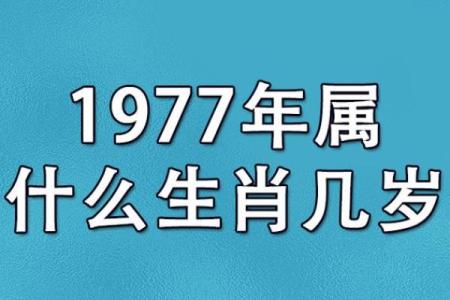 属相什么时候开始有的 属相何时开始或结束