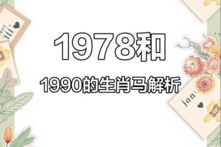 78年马女几月出生最好 78年几月出生的女孩命好