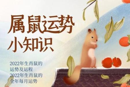 属鼠人2013年运势(属鼠的2013年的时候多大)
