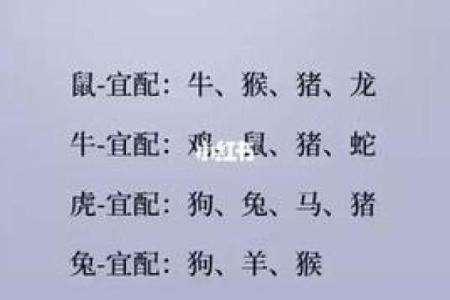 2000年属龙女最佳婚配属相 2000年属龙女最佳婚配属相