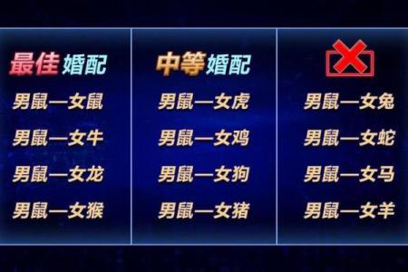 1996年属什么的生肖配对最 1996年属什么生肖配对最好婚姻男人