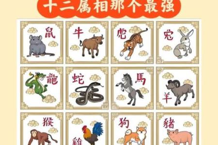 十二生肖中哪个动物最容易三心二意？详细性格分析来了