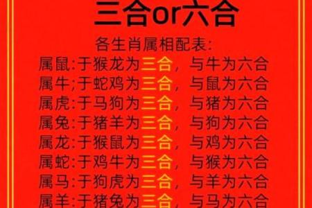 三头两尾却为奇打一正确生肖